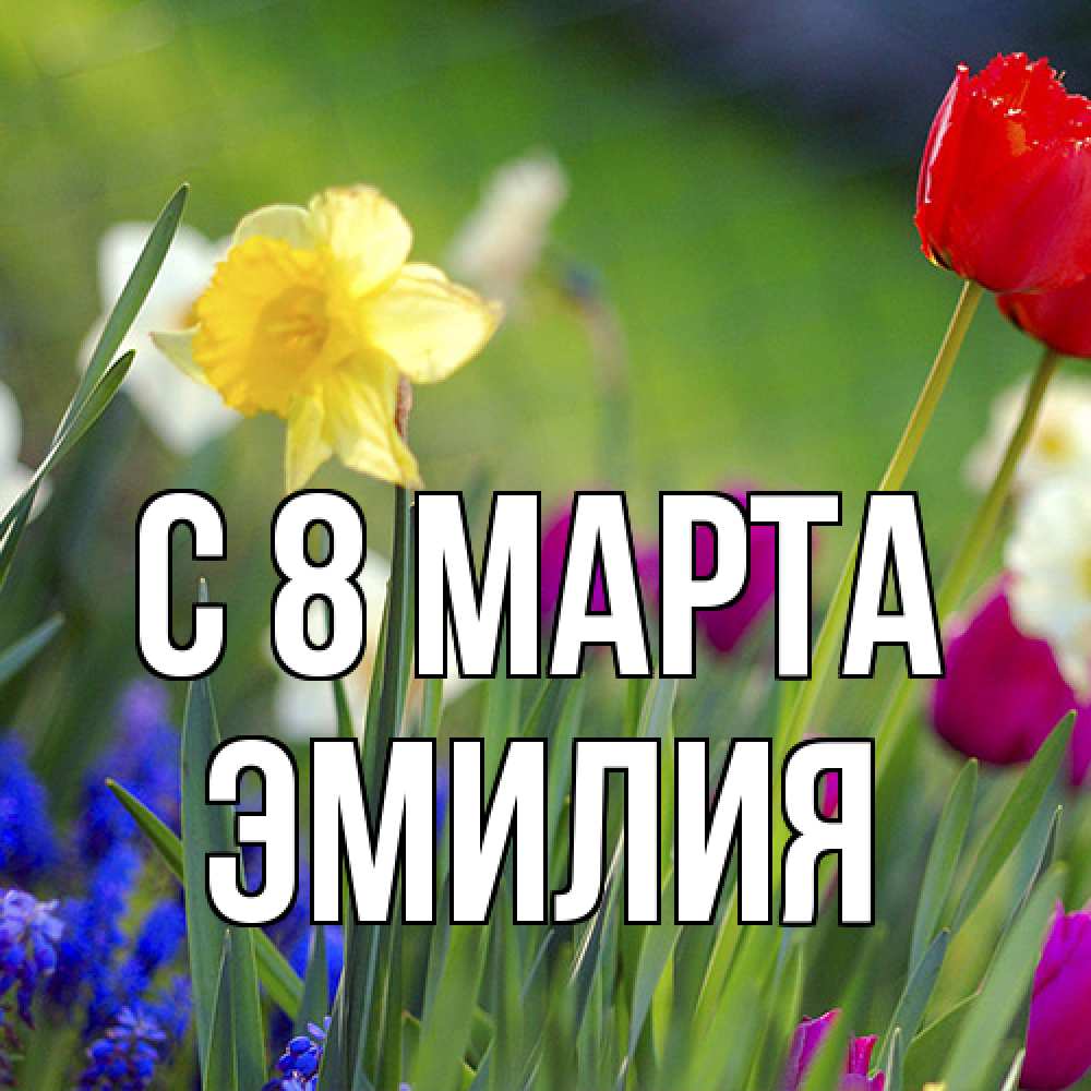 Открытка на каждый день с именем, Эмилия C 8 МАРТА международный женский день 3 Прикольная открытка с пожеланием онлайн скачать бесплатно 