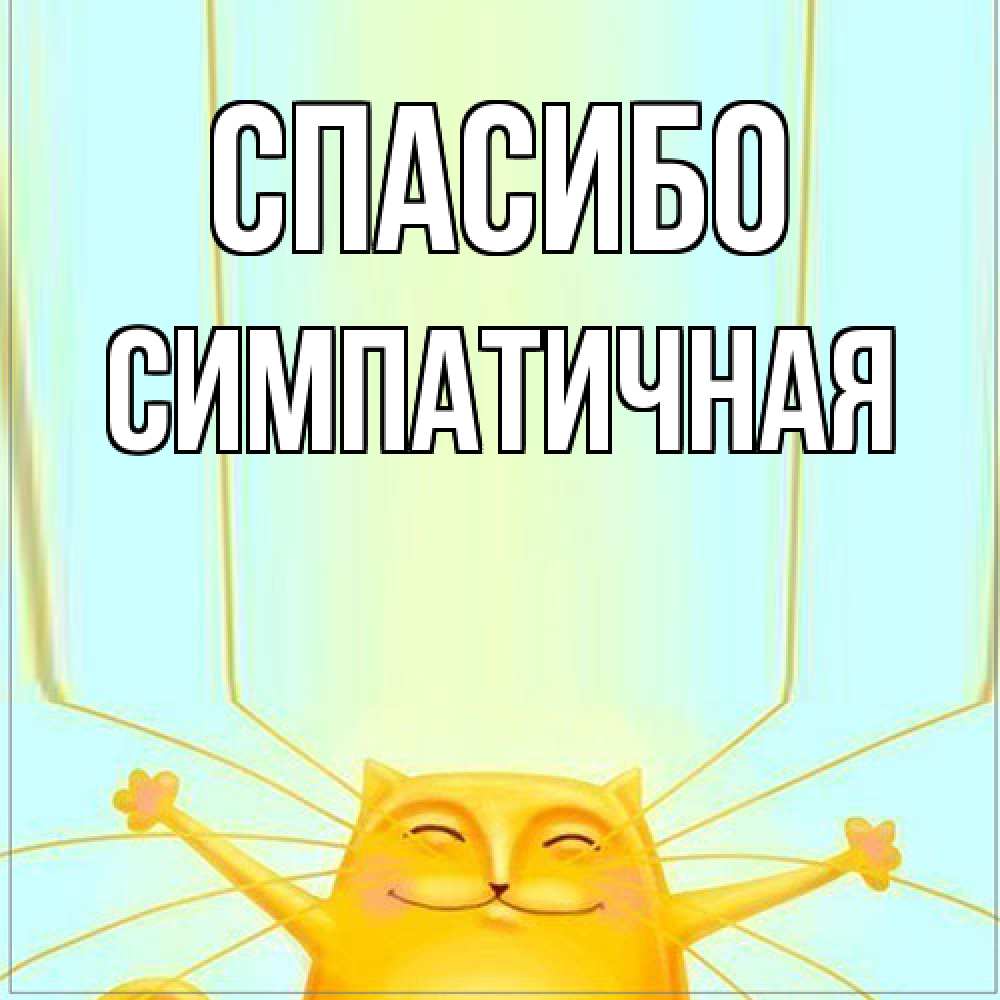 Открытка на каждый день с именем, симпатичная Спасибо кот с усами благодарит Прикольная открытка с пожеланием онлайн скачать бесплатно 