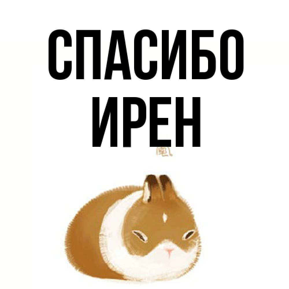 Открытка на каждый день с именем, Ирен Спасибо коричнево белый домашний питомец Прикольная открытка с пожеланием онлайн скачать бесплатно 