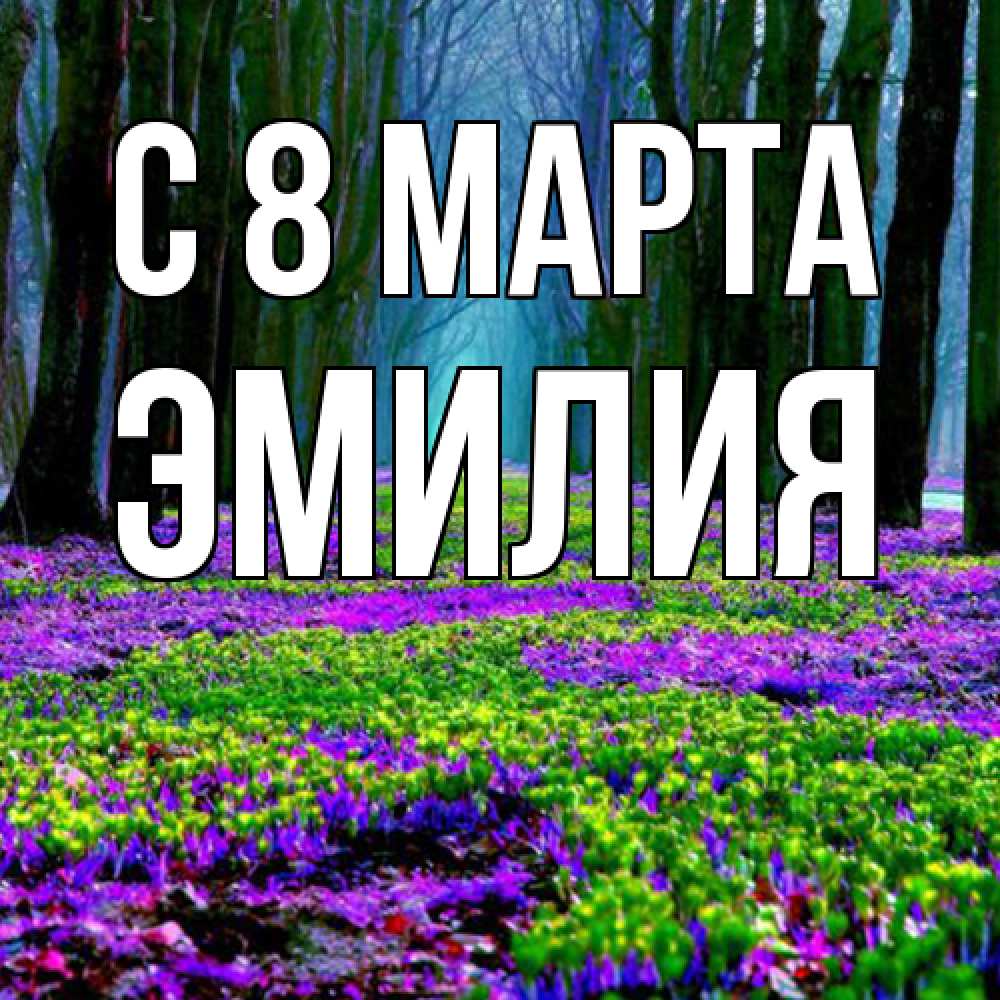 Открытка на каждый день с именем, Эмилия C 8 МАРТА фиолетовые цветы в лесу 1 Прикольная открытка с пожеланием онлайн скачать бесплатно 