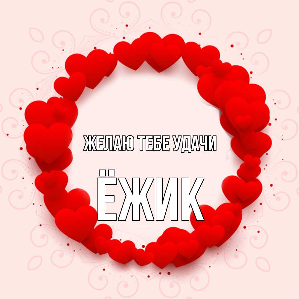 Открытка на каждый день с именем, Ёжик Желаю тебе удачи на удачу любимому или любимой Прикольная открытка с пожеланием онлайн скачать бесплатно 