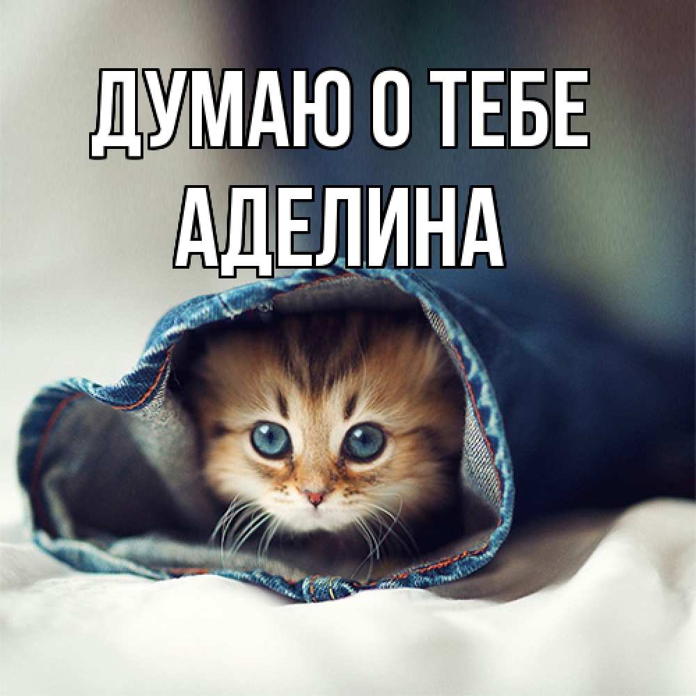Открытка на каждый день с именем, Аделина Думаю о тебе мне без тебя плохо Прикольная открытка с пожеланием онлайн скачать бесплатно 