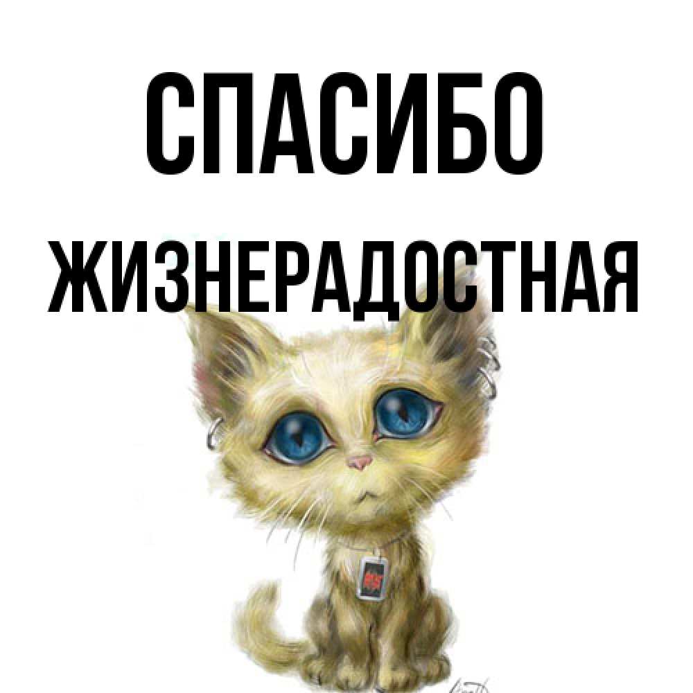 Открытка на каждый день с именем, Жизнерадостная Спасибо рисованный кот благодарит вас Прикольная открытка с пожеланием онлайн скачать бесплатно 
