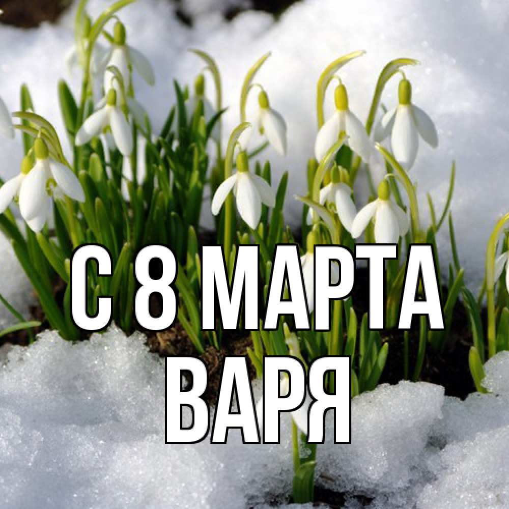 Открытка на каждый день с именем, Варя C 8 МАРТА цветы весенние Прикольная открытка с пожеланием онлайн скачать бесплатно 