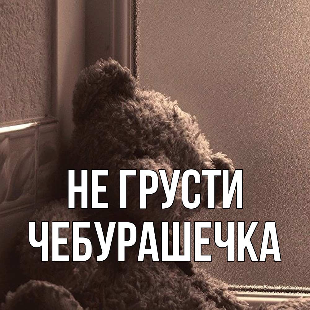 Открытка на каждый день с именем, Чебурашечка Не грусти стекол рефленое Прикольная открытка с пожеланием онлайн скачать бесплатно 