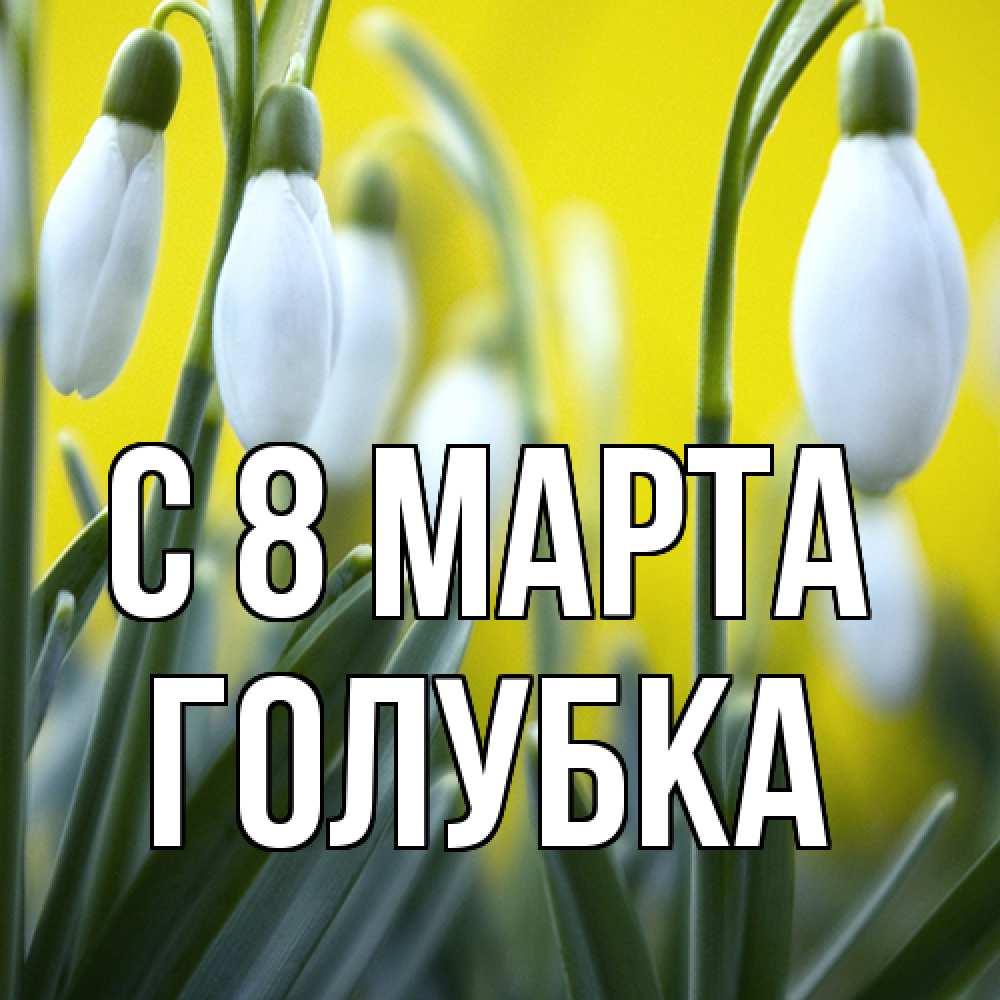 Открытка на каждый день с именем, Голубка C 8 МАРТА весенние цветы Прикольная открытка с пожеланием онлайн скачать бесплатно 