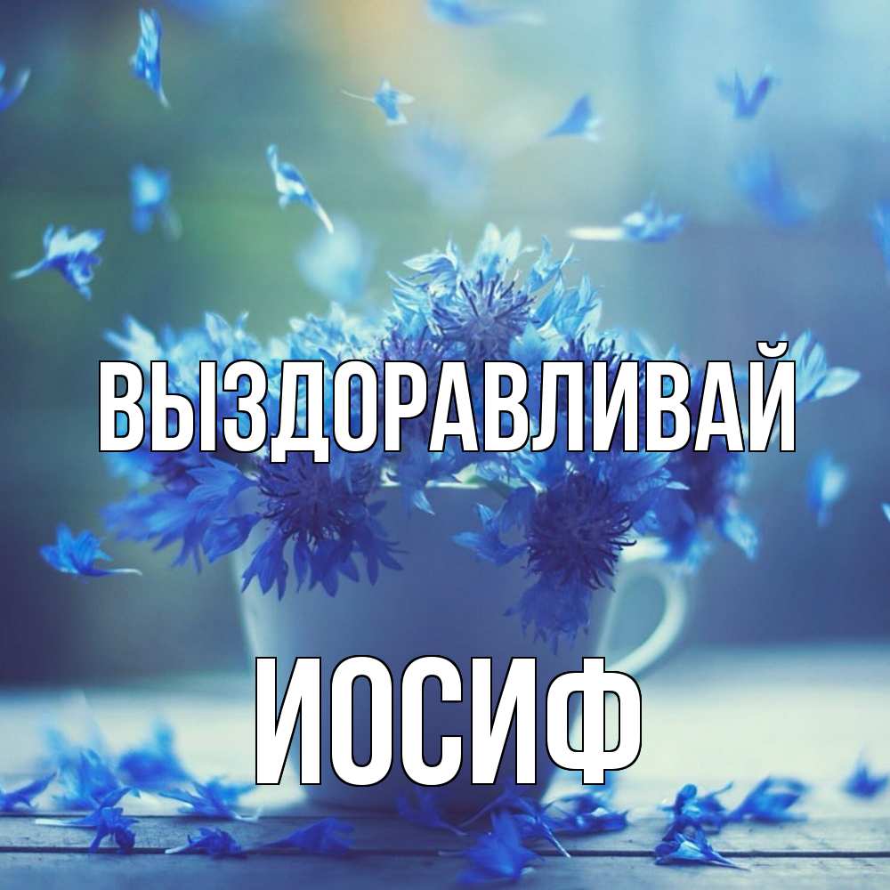Открытка на каждый день с именем, Иосиф Выздоравливай кружка с зельем и цветами Прикольная открытка с пожеланием онлайн скачать бесплатно 