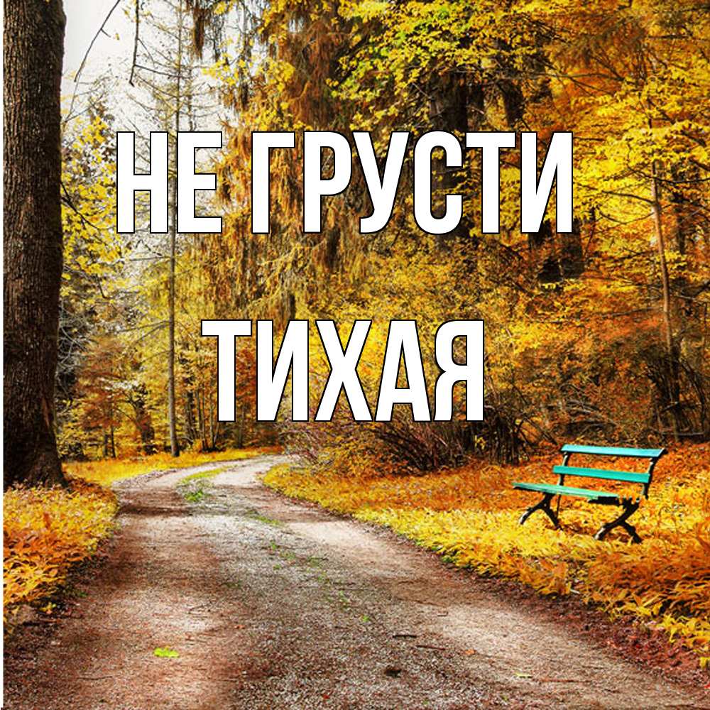 Открытка на каждый день с именем, Тихая Не грусти зеленая лавочка Прикольная открытка с пожеланием онлайн скачать бесплатно 