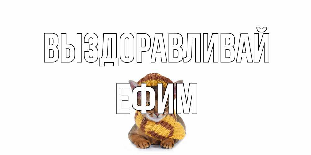 Открытка на каждый день с именем, Ефим Выздоравливай родные не болейте Прикольная открытка с пожеланием онлайн скачать бесплатно 