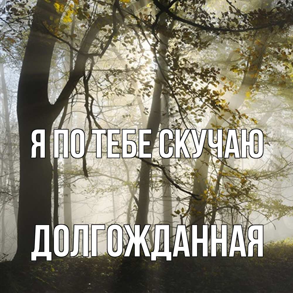 Открытка на каждый день с именем, Долгожданная Я по тебе скучаю грустно Прикольная открытка с пожеланием онлайн скачать бесплатно 