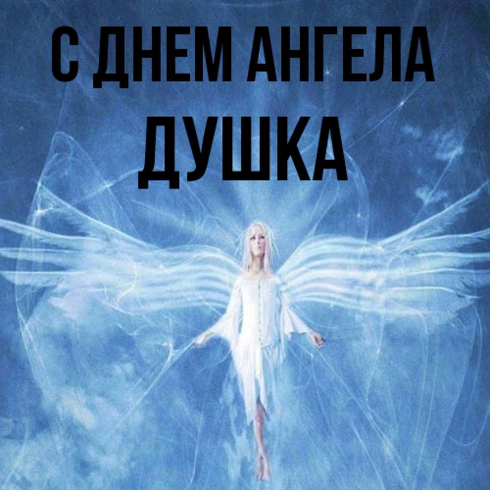 Открытка на каждый день с именем, Душка С днем ангела голубой фон и крылья как у стрекозы Прикольная открытка с пожеланием онлайн скачать бесплатно 