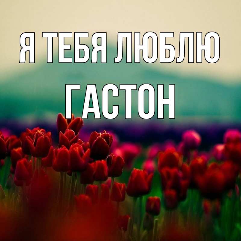 Картинка Я тебя люблю, Гастон