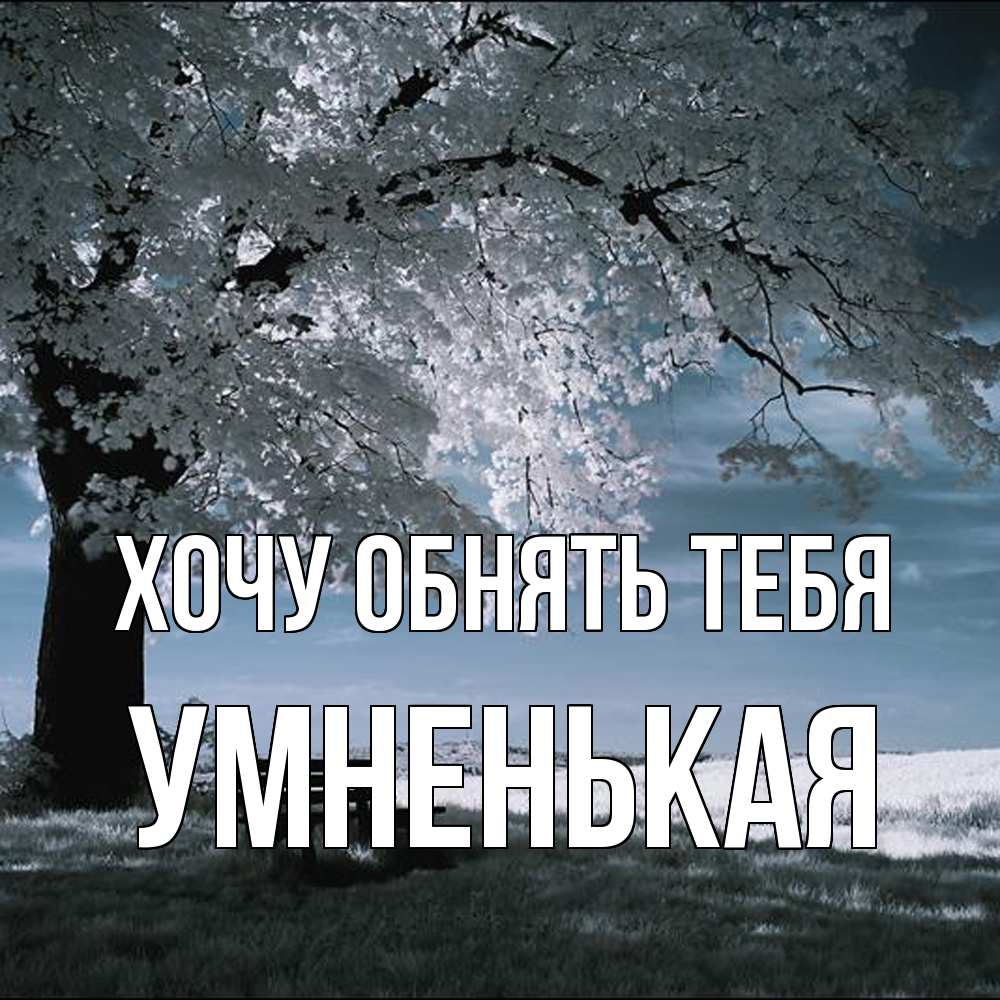 Открытка на каждый день с именем, Умненькая Хочу обнять тебя дерево Прикольная открытка с пожеланием онлайн скачать бесплатно 