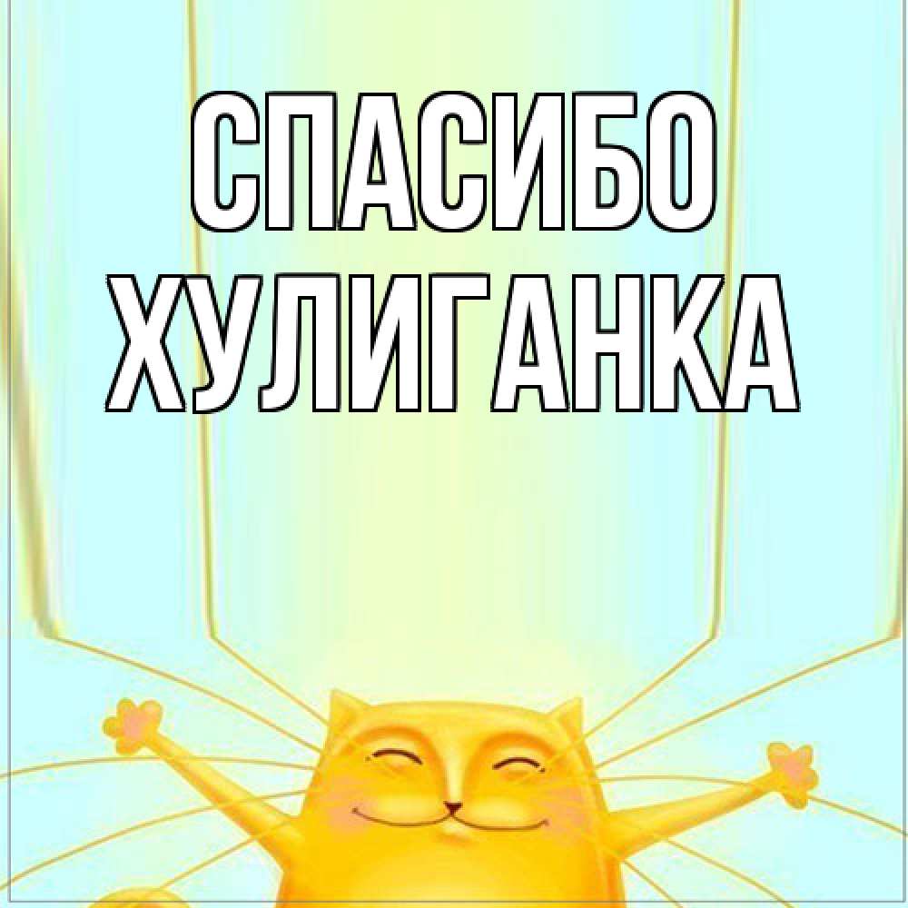 Открытка на каждый день с именем, Хулиганка Спасибо кот с усами благодарит Прикольная открытка с пожеланием онлайн скачать бесплатно 