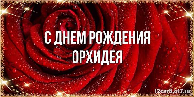 Картинка С днем рождения, Орхидея