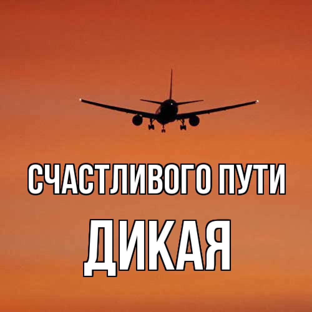 Открытка на каждый день с именем, дикая Счастливого пути силуэт самолета Прикольная открытка с пожеланием онлайн скачать бесплатно 