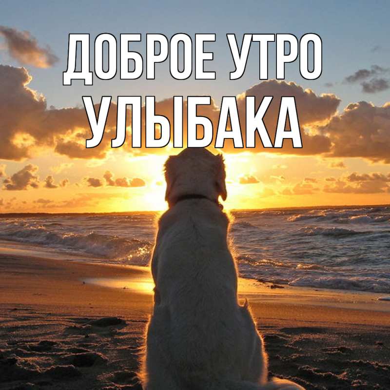 Картинка Доброе утро, Улыбака