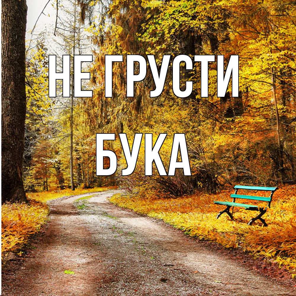 Открытка на каждый день с именем, Бука Не грусти зеленая лавочка Прикольная открытка с пожеланием онлайн скачать бесплатно 