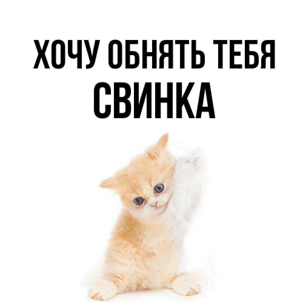 Открытка на каждый день с именем, Свинка Хочу обнять тебя я хочу очень скорее обнимаешек Прикольная открытка с пожеланием онлайн скачать бесплатно 
