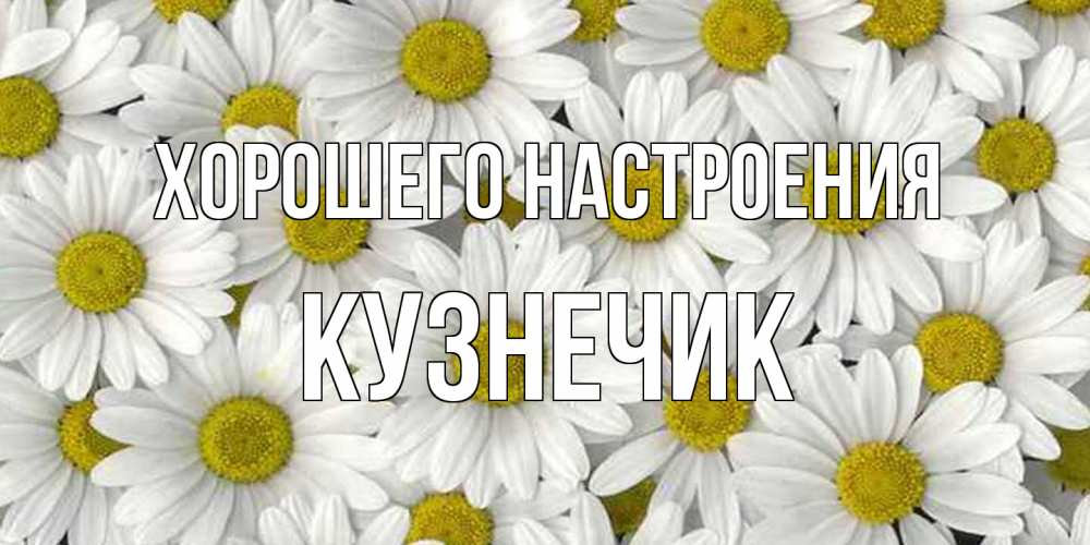 Открытка на каждый день с именем, Кузнечик Хорошего настроения поляна ромашек Прикольная открытка с пожеланием онлайн скачать бесплатно 