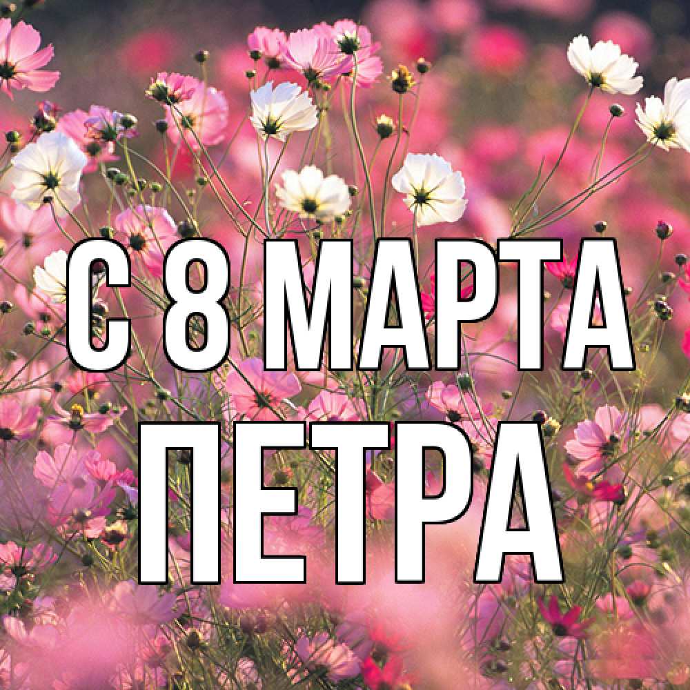 Открытка на каждый день с именем, Петра C 8 МАРТА красиво 1 Прикольная открытка с пожеланием онлайн скачать бесплатно 
