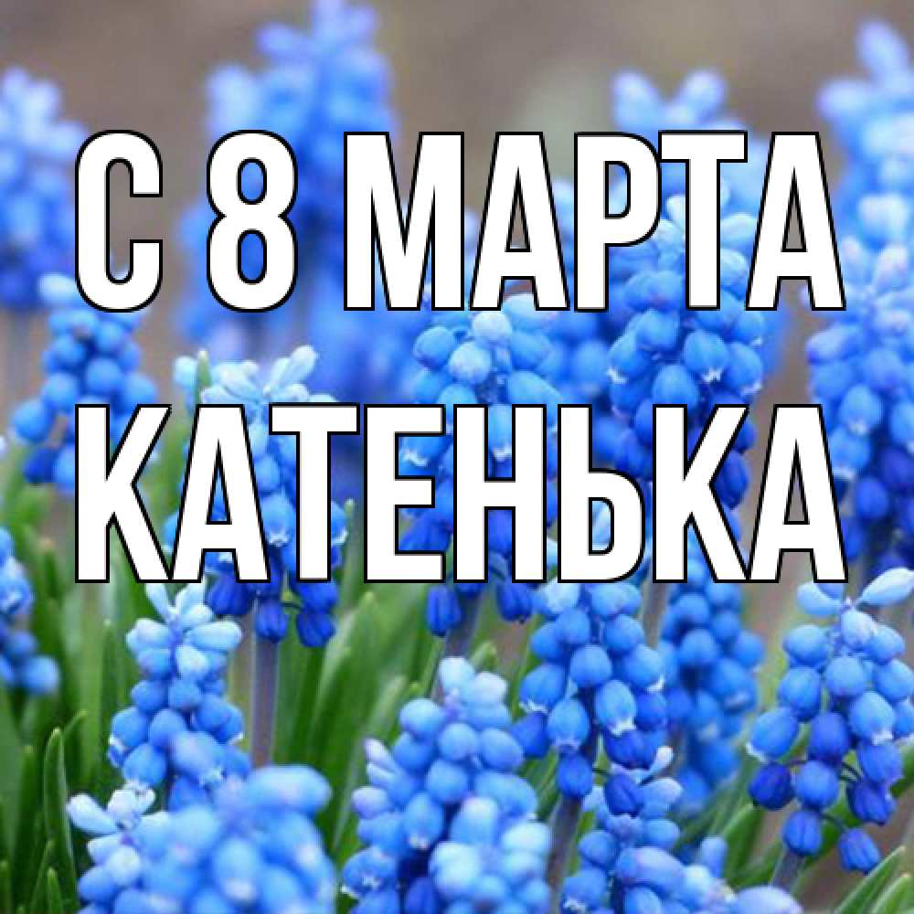 Открытка на каждый день с именем, Катенька C 8 МАРТА Поздравительная открытка для женщин с цветами на праздничную дату Прикольная открытка с пожеланием онлайн скачать бесплатно 