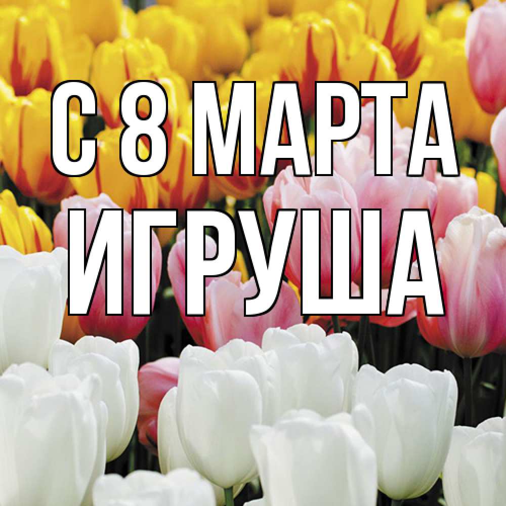 Открытка на каждый день с именем, Игруша C 8 МАРТА разноцветные цветы Прикольная открытка с пожеланием онлайн скачать бесплатно 