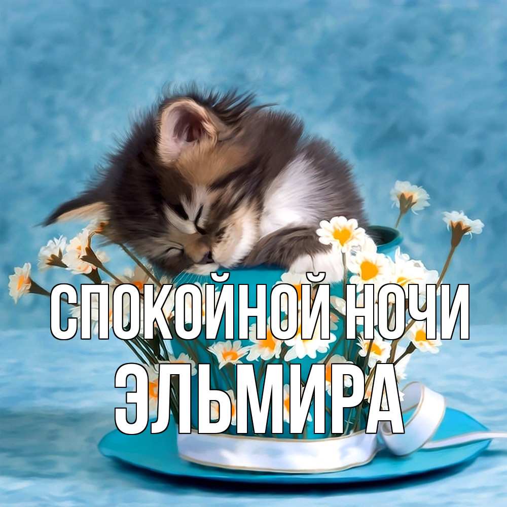 Открытка на каждый день с именем, Эльмира Спокойной ночи котенок спит в кружке с блюдцем Прикольная открытка с пожеланием онлайн скачать бесплатно 