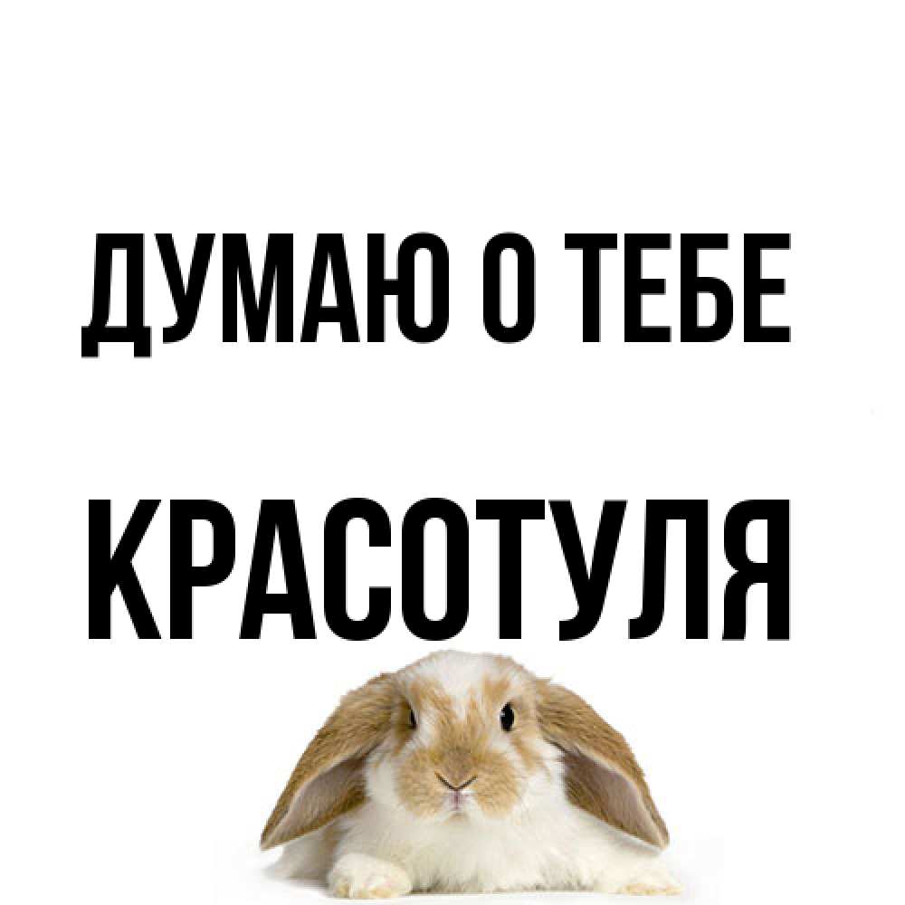 Открытка на каждый день с именем, Красотуля Думаю о тебе подписать своими руками онлайн Прикольная открытка с пожеланием онлайн скачать бесплатно 