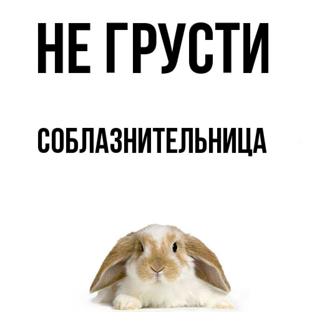 Открытка на каждый день с именем, соблазнительница Не грусти коричнево белый заяц с большими ушками Прикольная открытка с пожеланием онлайн скачать бесплатно 