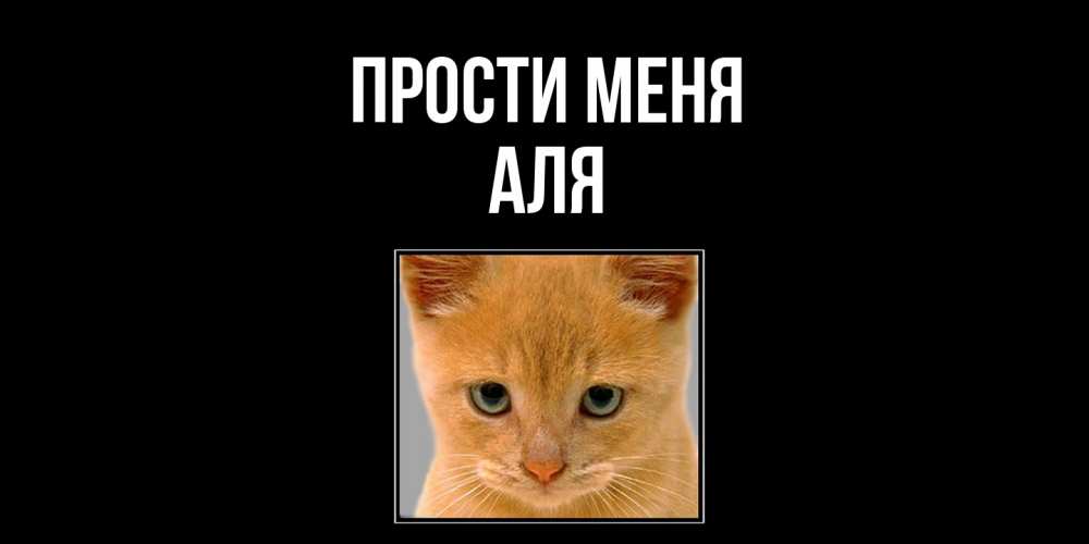 Открытка на каждый день с именем, Аля Прости меня рыжий грустный кот просит прощения Прикольная открытка с пожеланием онлайн скачать бесплатно 