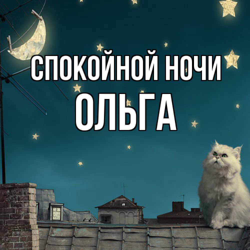 Открытка на каждый день с именем, Ольга Спокойной ночи белый кот сидит на крыше Прикольная открытка с пожеланием онлайн скачать бесплатно 
