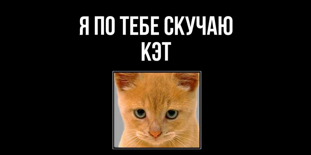 Открытка на каждый день с именем, Кэт Я по тебе скучаю открытки рыжий котенок скучает по тебе Прикольная открытка с пожеланием онлайн скачать бесплатно 