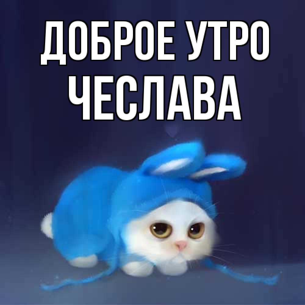 Открытка на каждый день с именем, Чеслава Доброе утро открытки красивые скачать бесплатно Прикольная открытка с пожеланием онлайн скачать бесплатно 