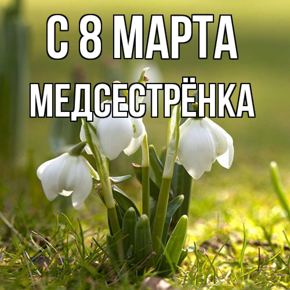 Открытка на каждый день с именем, Медсестрёнка C 8 МАРТА ранние цветы 2 Прикольная открытка с пожеланием онлайн скачать бесплатно 