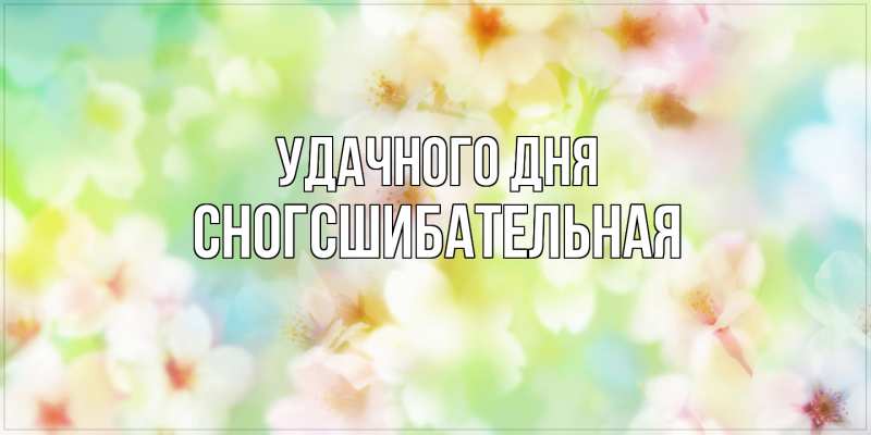 Картинка Удачного дня, сногсшибательная