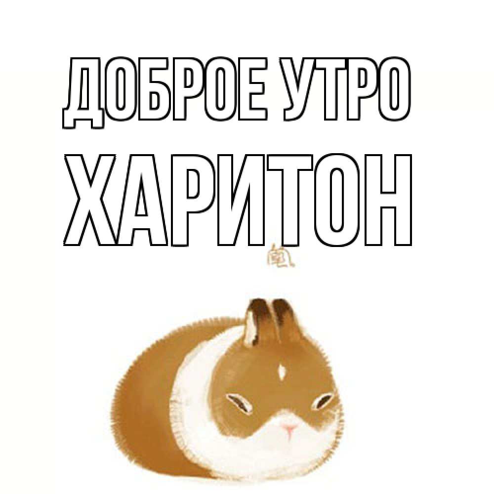 Открытка на каждый день с именем, Харитон Доброе утро хорошего утречка Прикольная открытка с пожеланием онлайн скачать бесплатно 