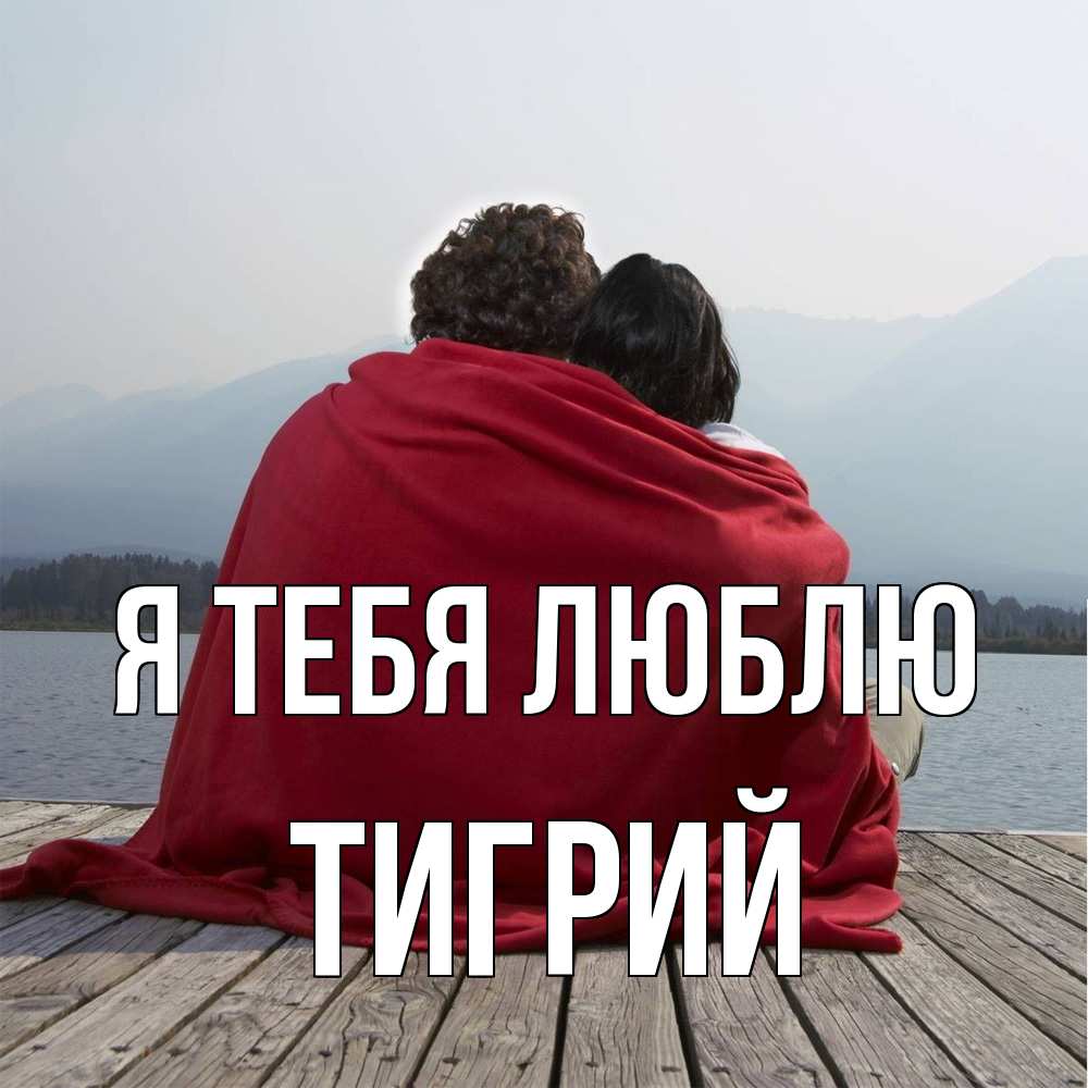 Открытка на каждый день с именем, Тигрий Я тебя люблю плед Прикольная открытка с пожеланием онлайн скачать бесплатно 