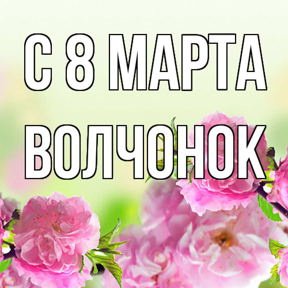 Открытка на каждый день с именем, Волчонок C 8 МАРТА цветы Прикольная открытка с пожеланием онлайн скачать бесплатно 