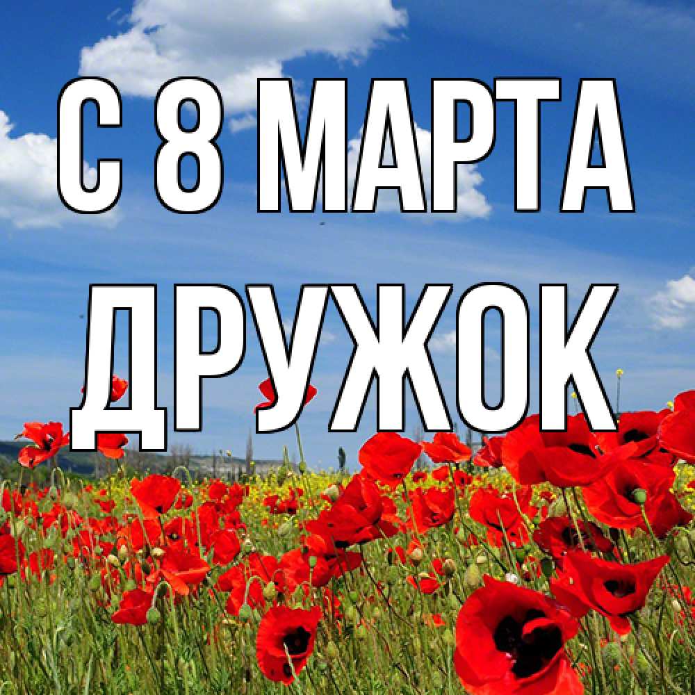 Открытка на каждый день с именем, Дружок C 8 МАРТА международный женский день 1 Прикольная открытка с пожеланием онлайн скачать бесплатно 