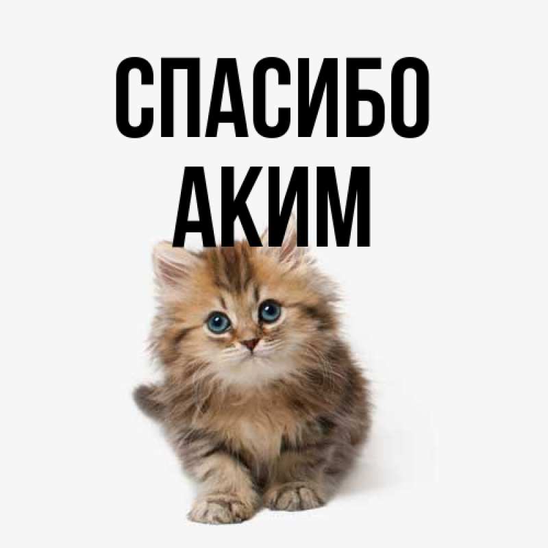 Картинка Спасибо, Аким