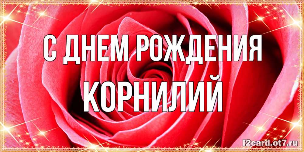 Открытка на каждый день с именем, Корнилий С днем рождения розовая роза очень крупный бутон Прикольная открытка с пожеланием онлайн скачать бесплатно 