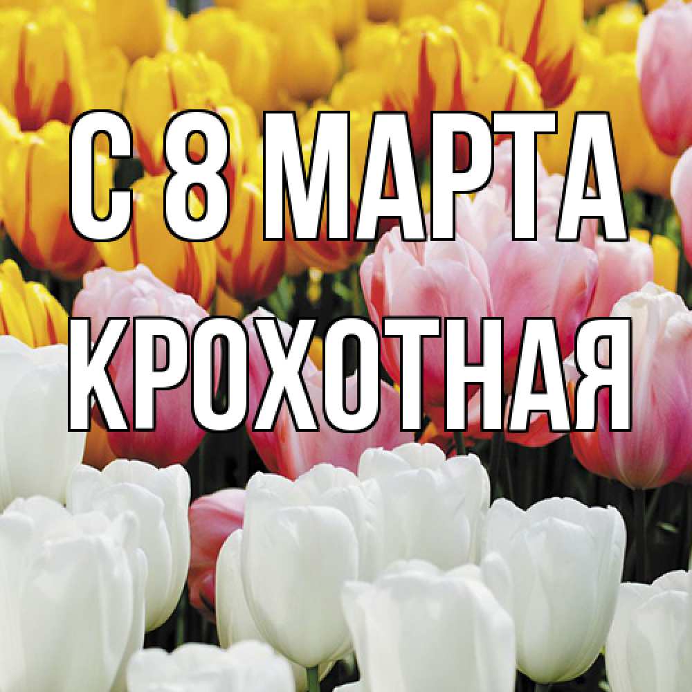 Открытка на каждый день с именем, Крохотная C 8 МАРТА разноцветные цветы Прикольная открытка с пожеланием онлайн скачать бесплатно 
