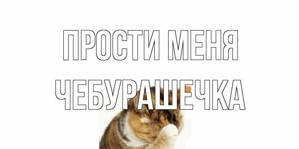 Открытка на каждый день с именем, Чебурашечка Прости меня кот Прикольная открытка с пожеланием онлайн скачать бесплатно 