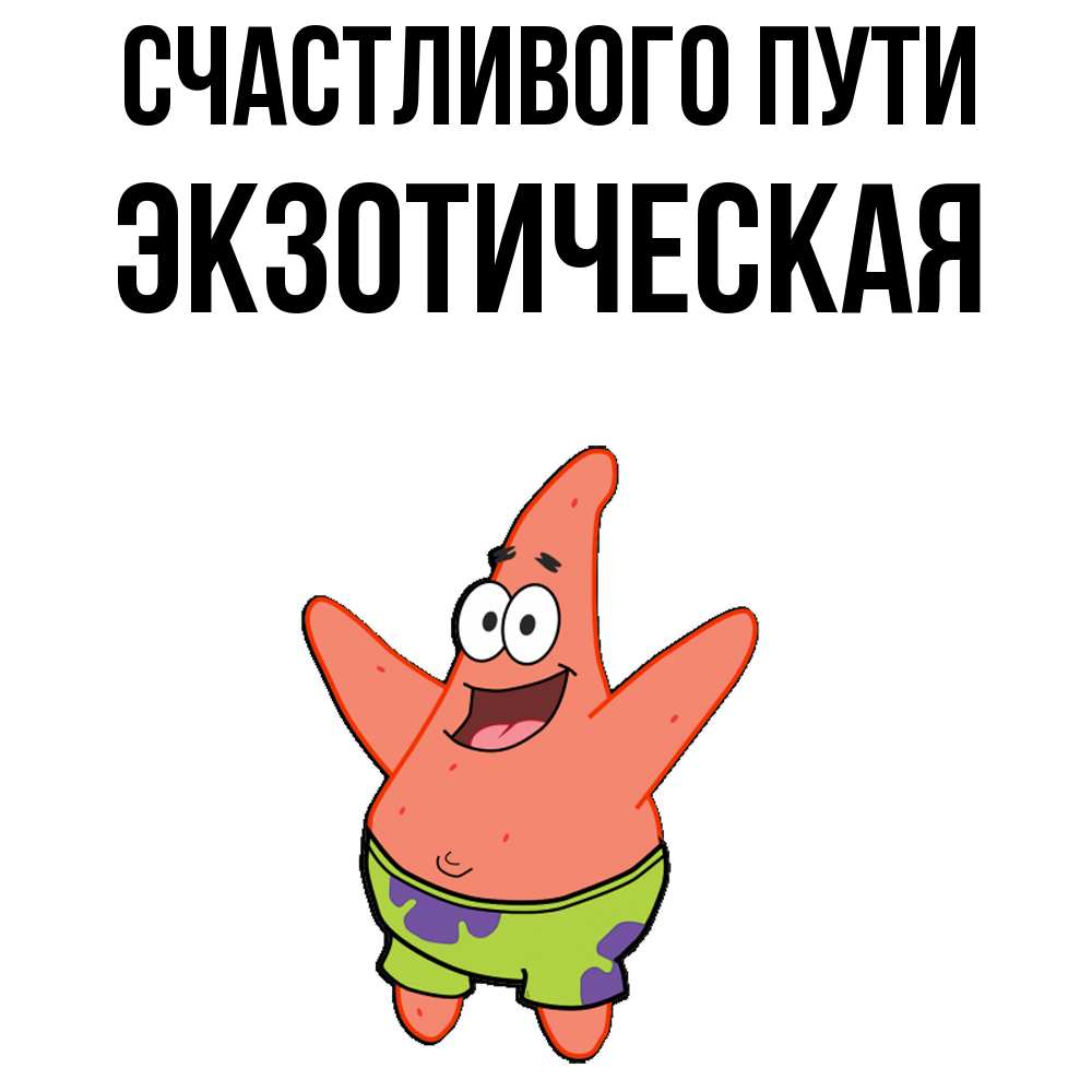 Открытка на каждый день с именем, Экзотическая Счастливого пути желает тебе хорошей дороги Прикольная открытка с пожеланием онлайн скачать бесплатно 