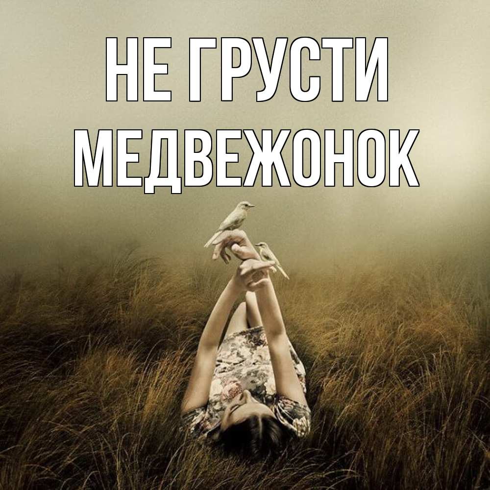 Открытка на каждый день с именем, медвежонок Не грусти поле и туман Прикольная открытка с пожеланием онлайн скачать бесплатно 