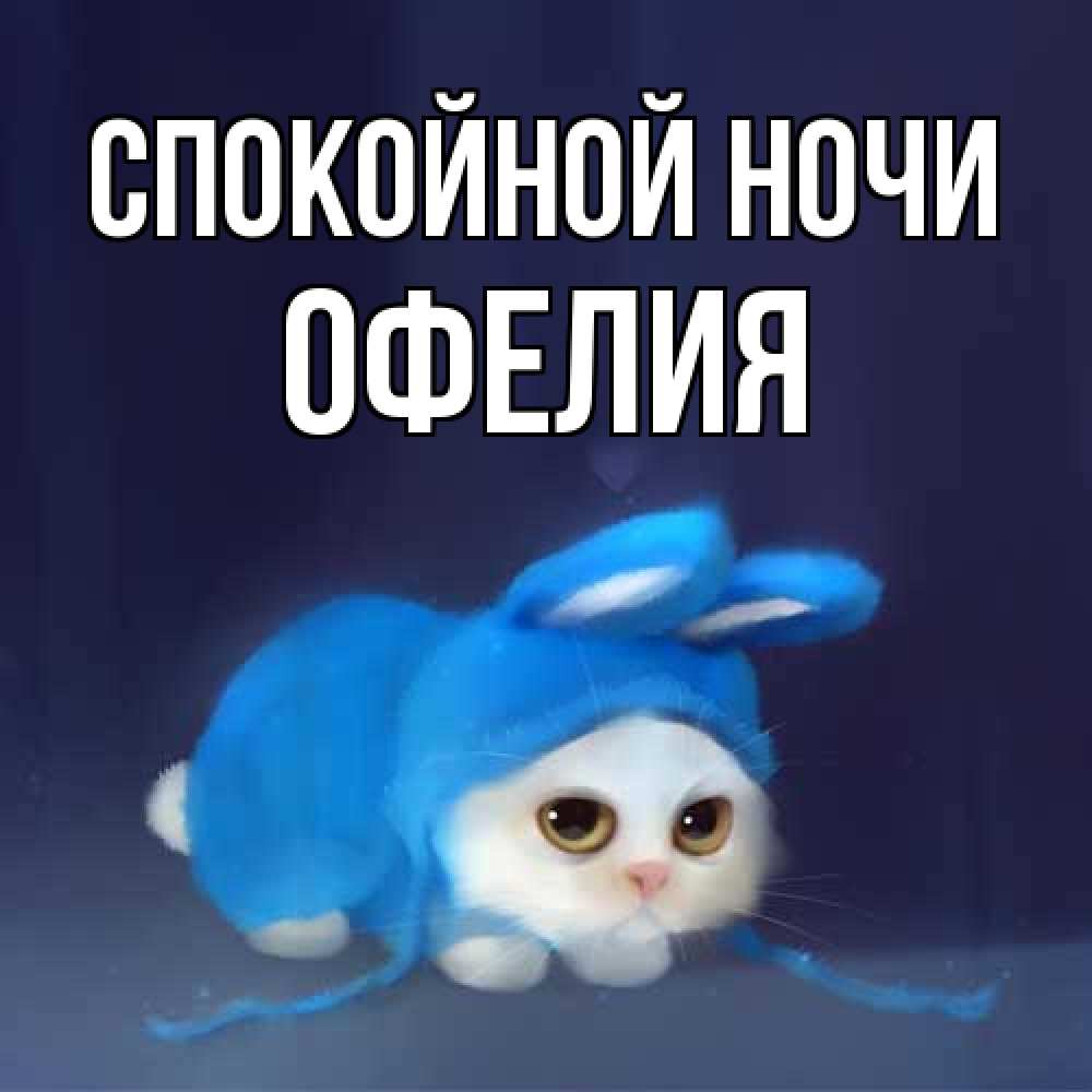 Открытка на каждый день с именем, Офелия Спокойной ночи кот в голубом костюме кролика с ушками Прикольная открытка с пожеланием онлайн скачать бесплатно 