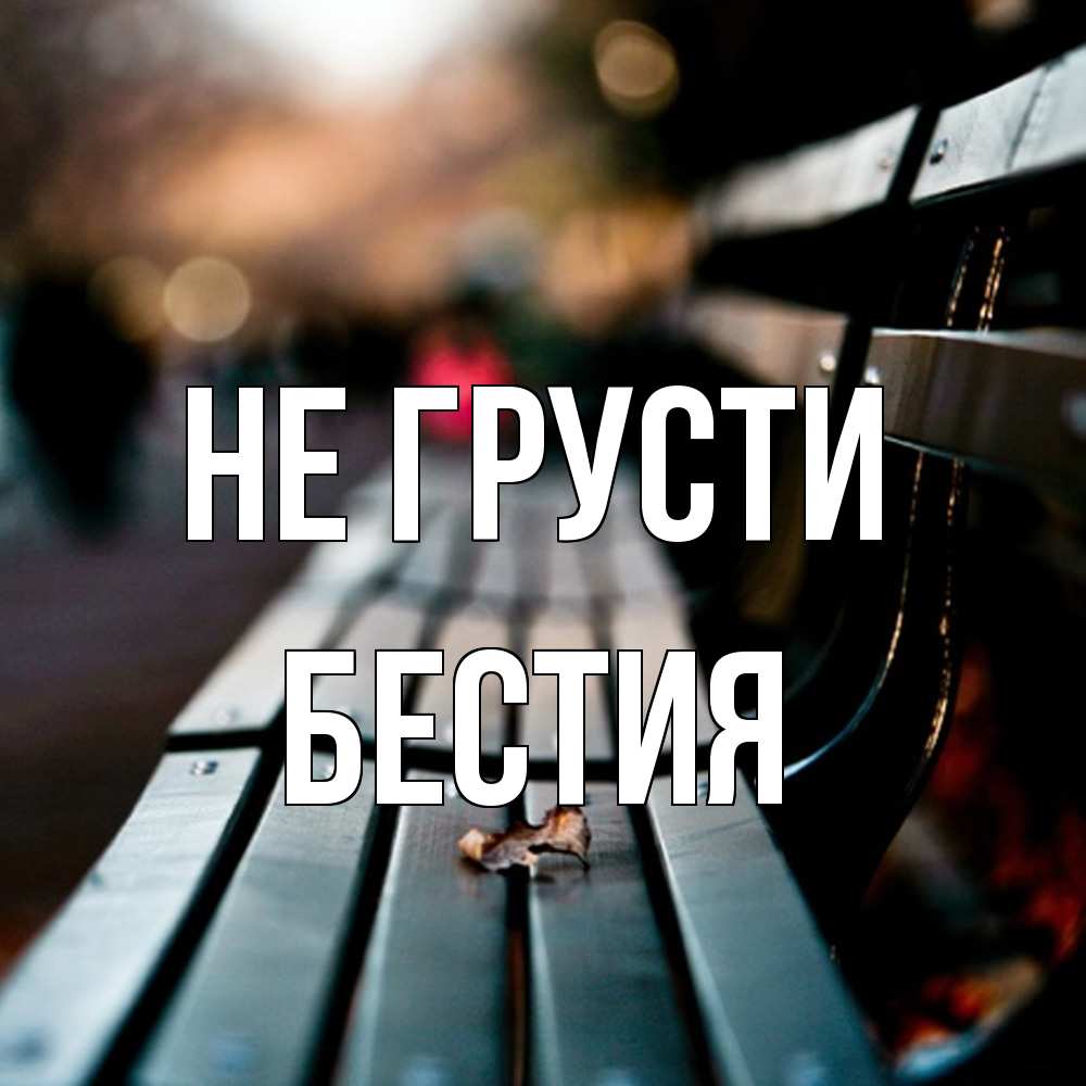 Открытка на каждый день с именем, Бестия Не грусти размытый фон Прикольная открытка с пожеланием онлайн скачать бесплатно 