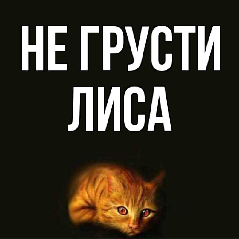 Картинка Не грусти, лиса