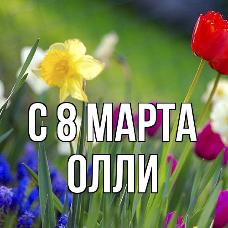 Картинка C 8 МАРТА, Олли